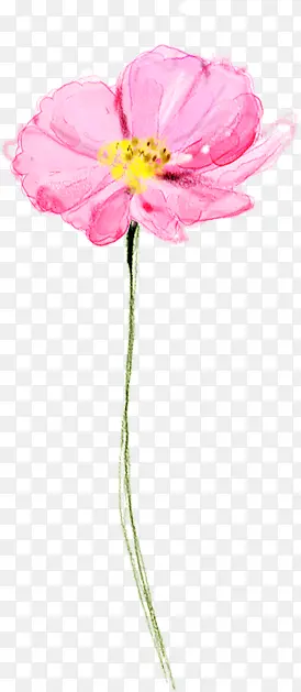 �ֻ��ɫ���ܲ廭-������