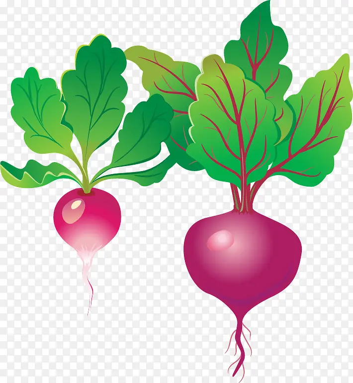 �ܲ�PNGʸ���ز�-������