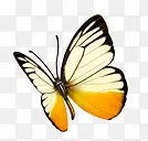 ��������չ�����-������