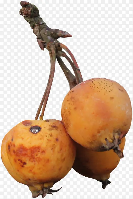 ����-������