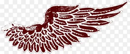 ��ɫ��չ�����ͼƬ-������