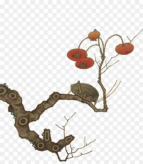 �ֻ�ֲ��������-������