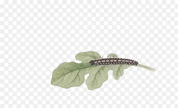 �ֻ�ëë��-������