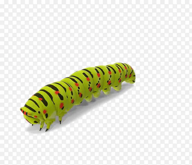 ��ɫëë��-������