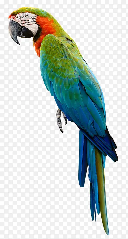 �ɰ�Ѥ�����Ĳ���-������