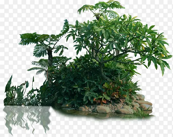 ������Ӱ�ϳ�԰����ľ-������