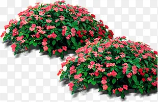 ������Ӱ԰�ֺ�ɫ����-������