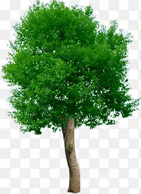 ����԰��ֲ����Ӱ-������