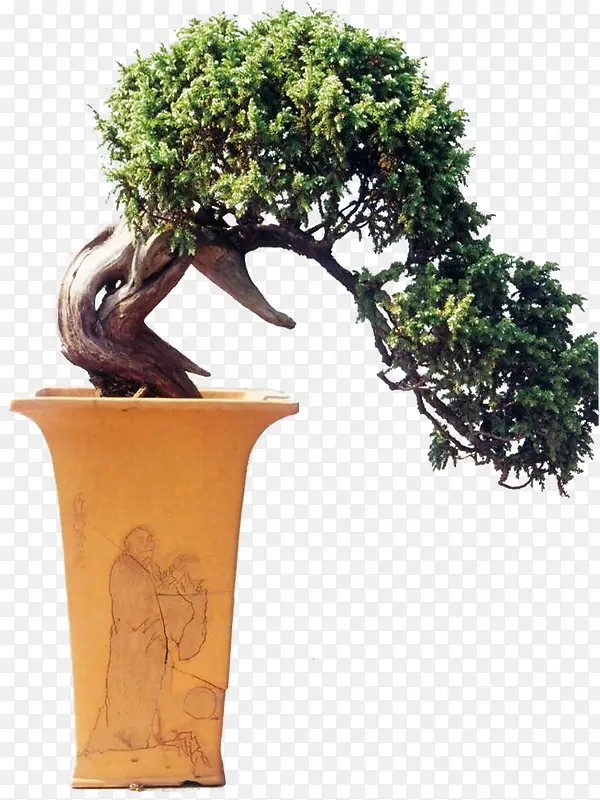 ������Ӱ԰�־���-������