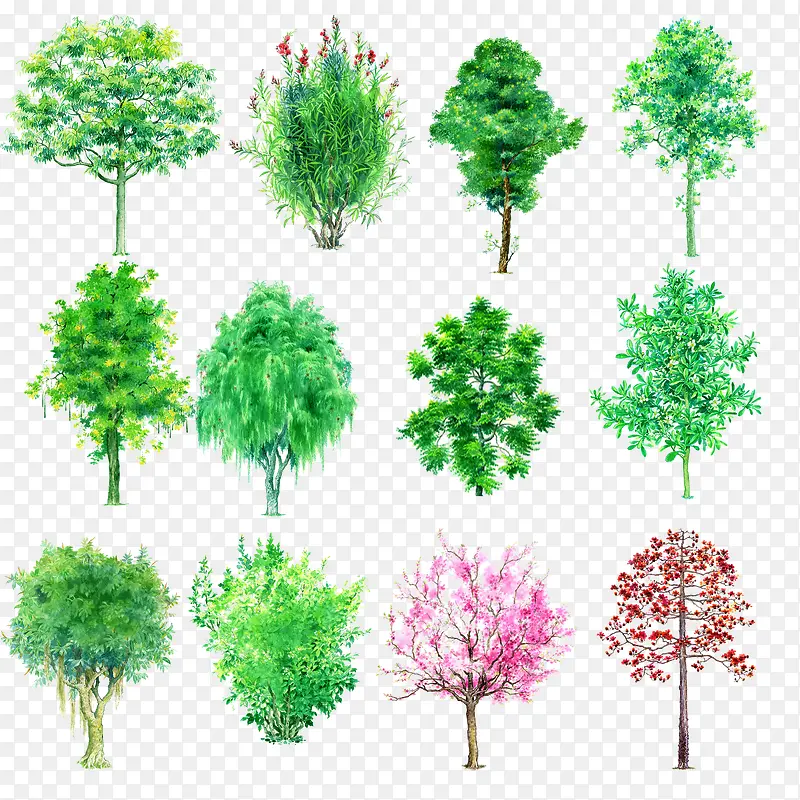 ��ͨ԰�����-������