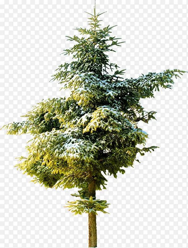 ������Ӱ��ɫ��԰��ֲ��-������