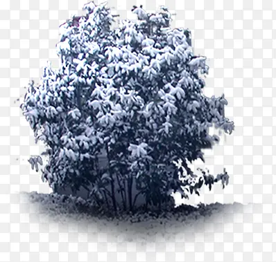 ������Ӱ������ȾЧ��԰��-������