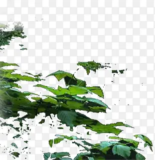 ԰�ַ羰��Ӱ����-������