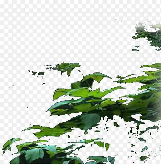 ԰�ַ羰��Ӱ����-������