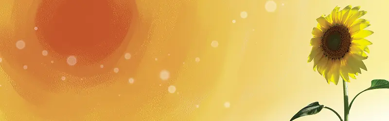 ˮ�ʱ��������տ�-������