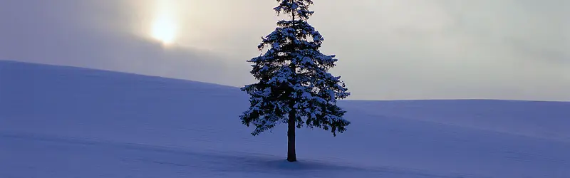 �ճ�-������