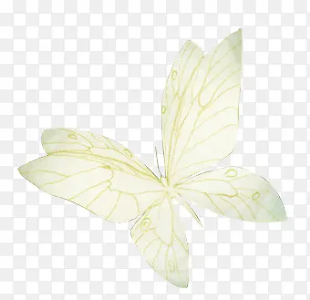 ��ɫ����ͼƬ-������