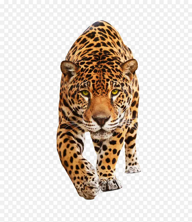 �ϻ�����ͼƬ-������