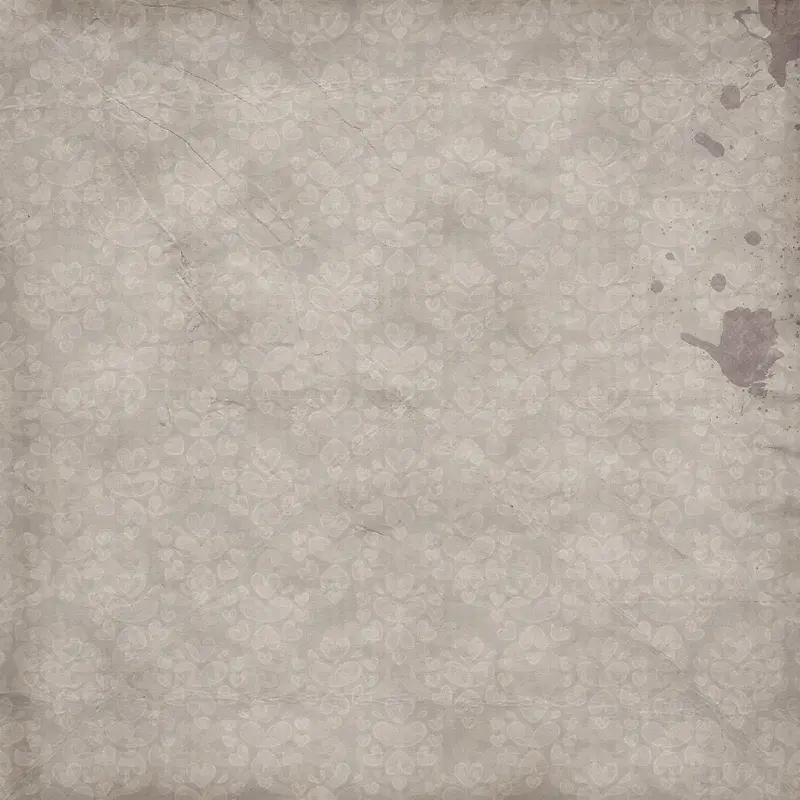 ���ŵ��Ʊ���-������