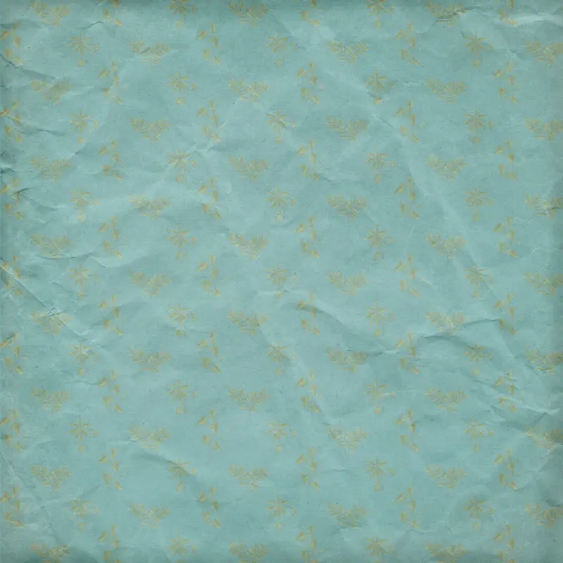 ����ֽ�ű���-������