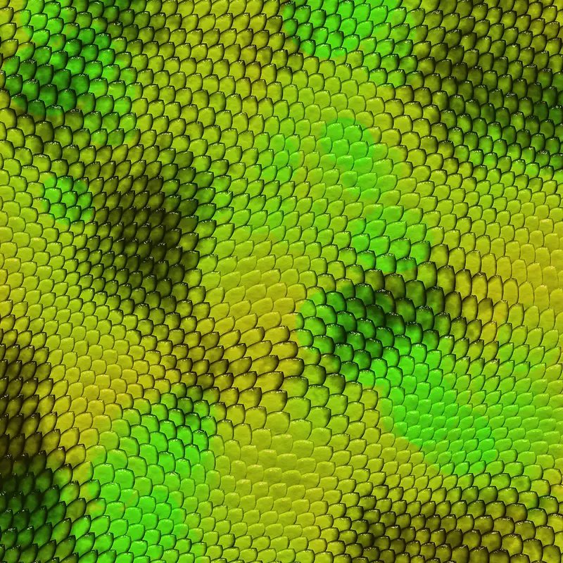 ��ɫ��Ƥ����-������