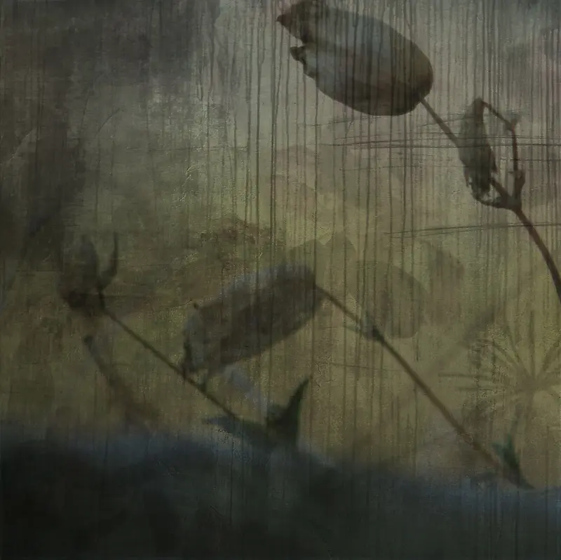 ֲ�ﻨ�ܱ���-������