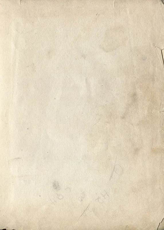 ţƤֽ����-������