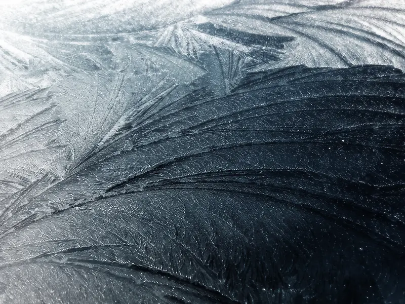 ��ɫ���Ʊ���-������