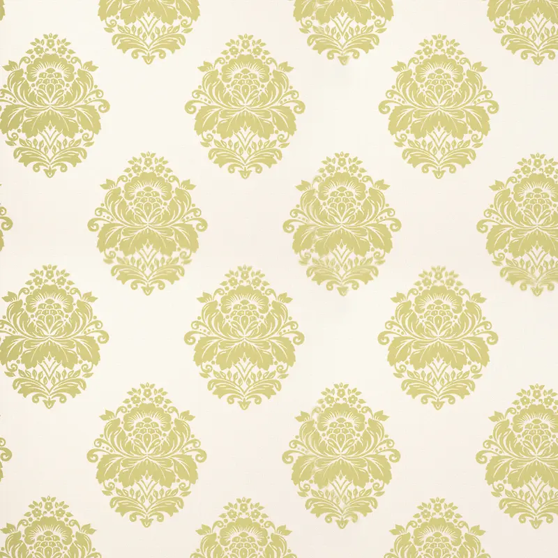 ��ɫ���Ʊ���-������