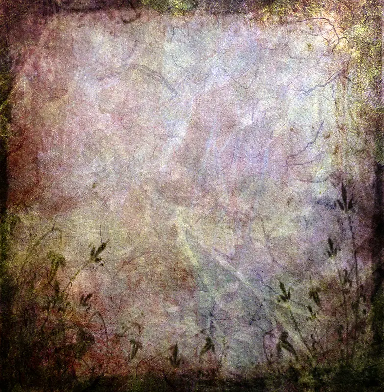 ����ֲ�ﻨ�߱���-������