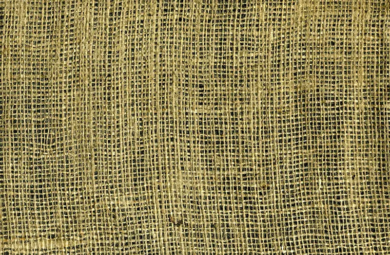 ���Ƶ��Ʊ���-������