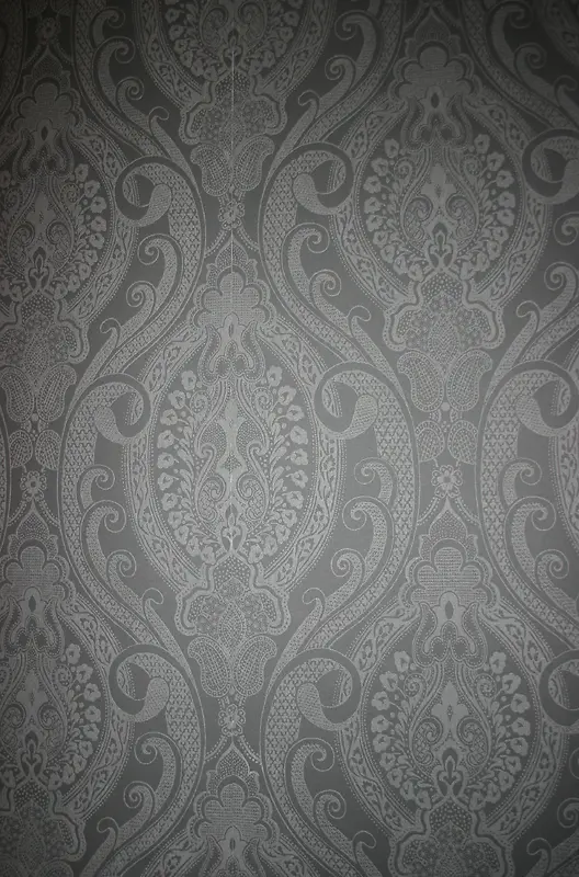 ��ɫ���Ʊ���-������