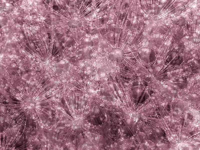 ��ɫ���Ʊ���-������