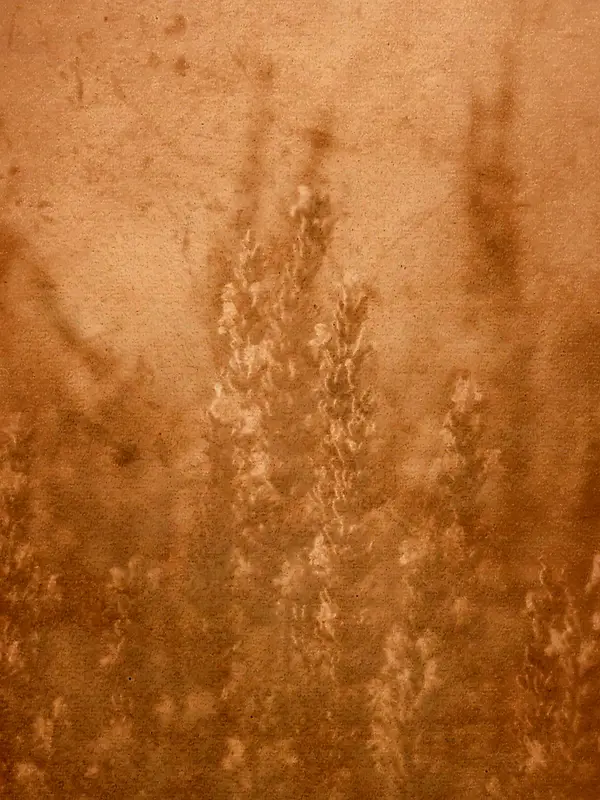 ��ɫС�ݱ���-������