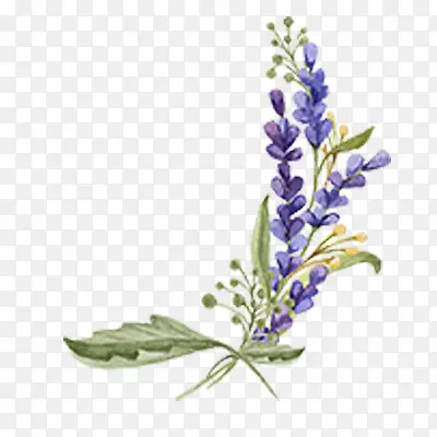 ޹�²�ʸ�����ͼ-������