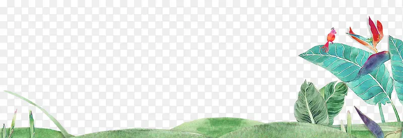 ��ͨ�廭����ֲ��-������