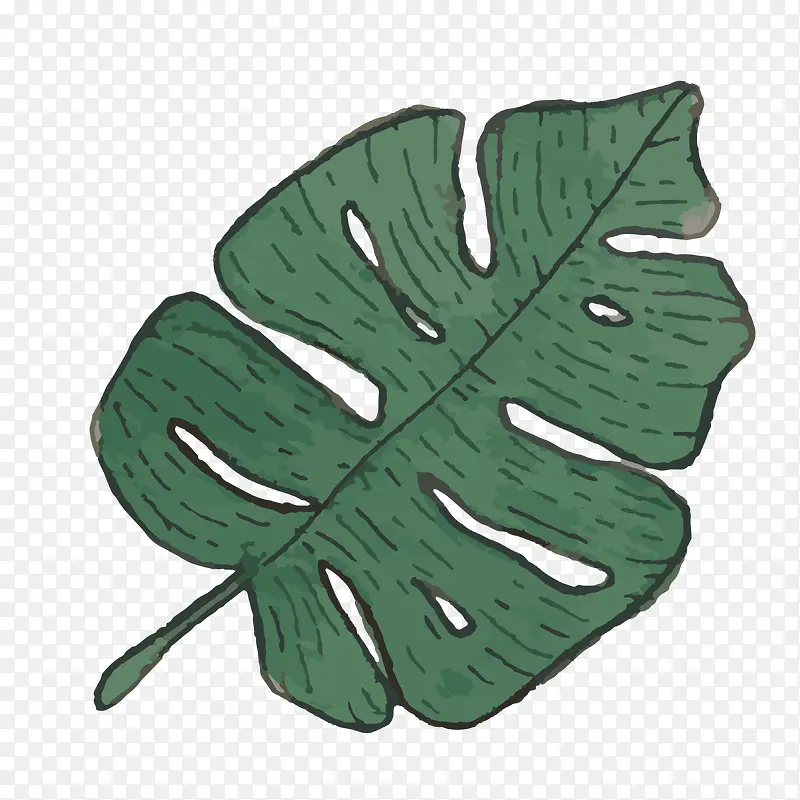 �ֻ�ֲ��-������