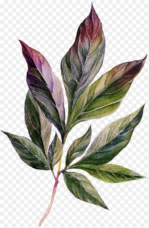 �ֻ�廭-������