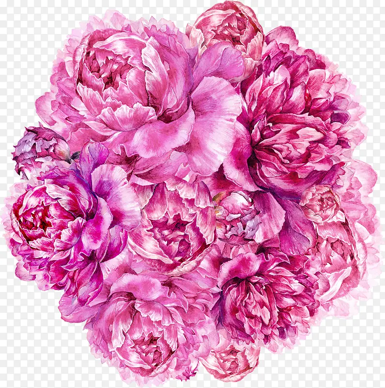 �ֻ�ֲ��-������