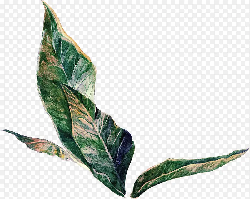 �ֻ�廭-������