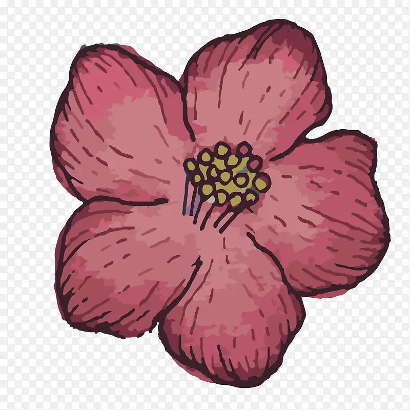 �ֻ�ֲ��-������