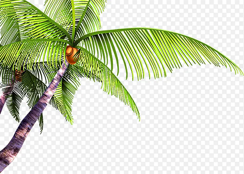 ����ֲ��廭����-������