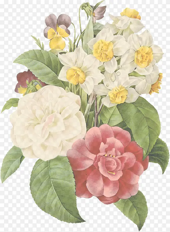 �ֻ�廭ֲ�ﻨ��-������