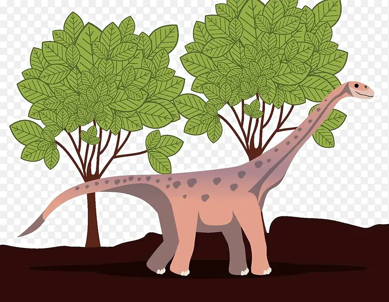 ��ͨ������-������