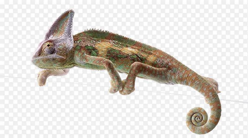 ��������-������