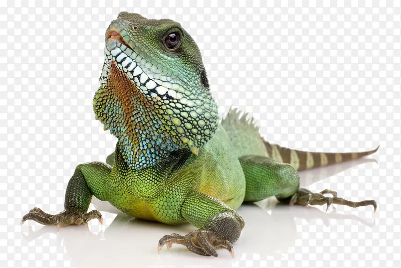 ��������-������