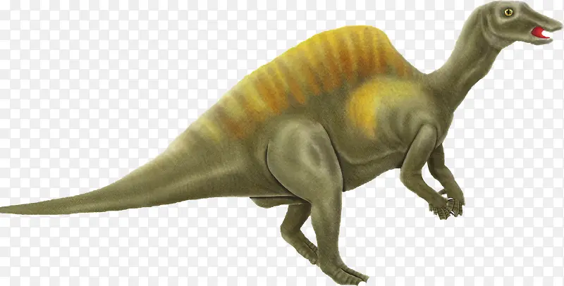 �ֻ����-������