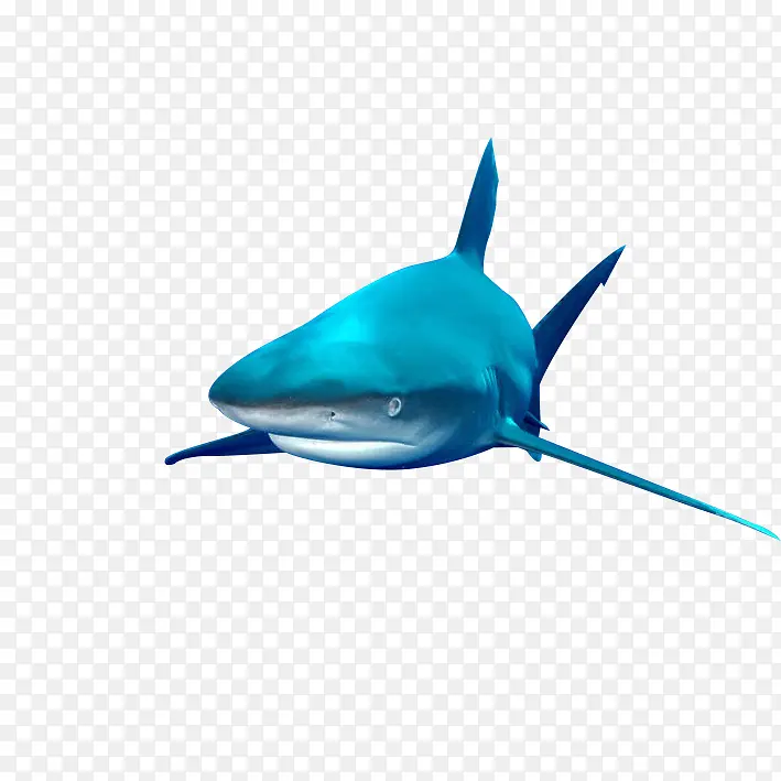 ��Ʒʵ������-������