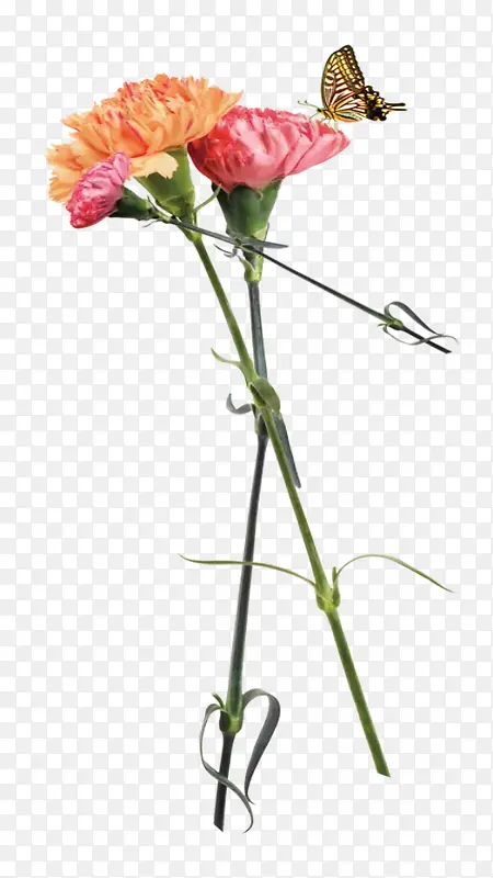 ����ͺ���-������