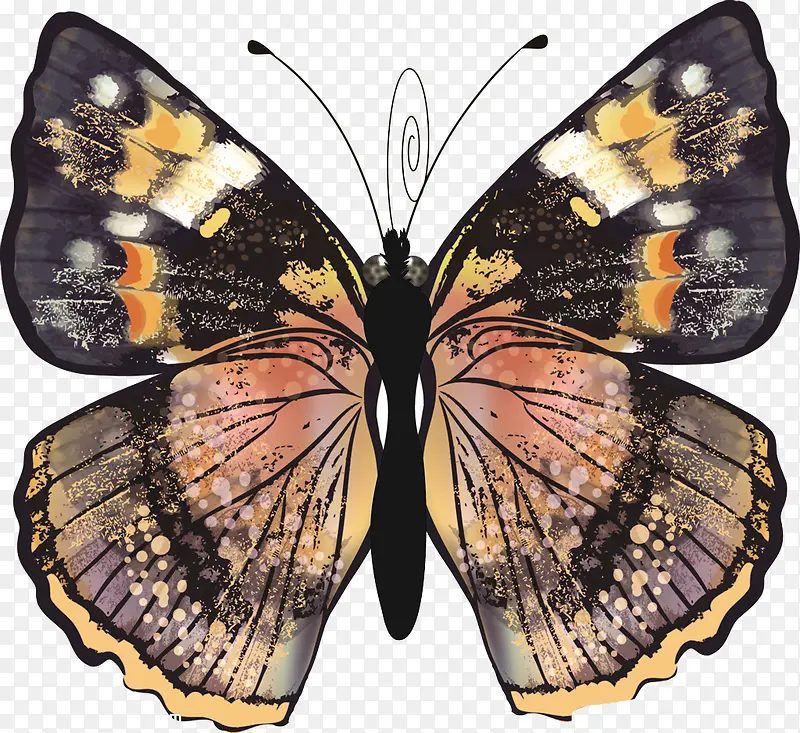 �����걾-������